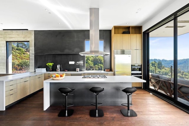 kitchen featuring stainless steel appliances, island exhaust hood, a breakfast bar area, and wood-type flooring