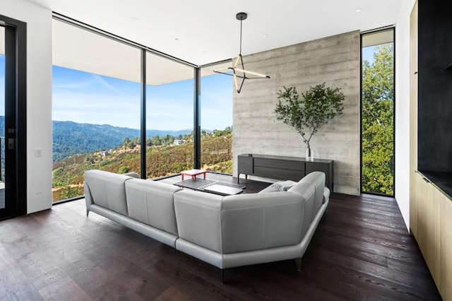 living room with a mountain view, a wealth of natural light, and dark hardwood / wood-style flooring