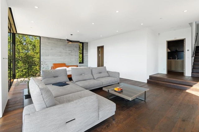 living room featuring a wall of windows and dark hardwood / wood-style flooring