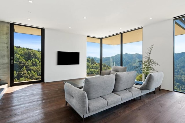 living room featuring dark hardwood / wood-style floors