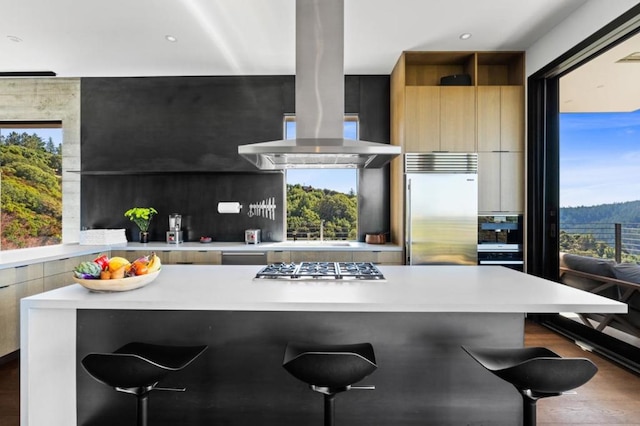 kitchen featuring hardwood / wood-style floors, a kitchen bar, island exhaust hood, and appliances with stainless steel finishes