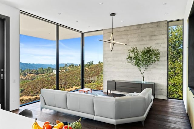 living room with a mountain view and dark wood-type flooring