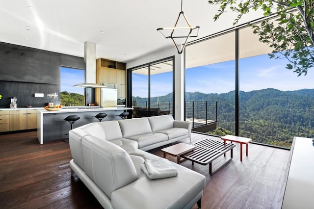 living room featuring a mountain view, a wealth of natural light, and dark hardwood / wood-style flooring