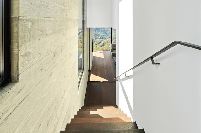 stairway with wood walls