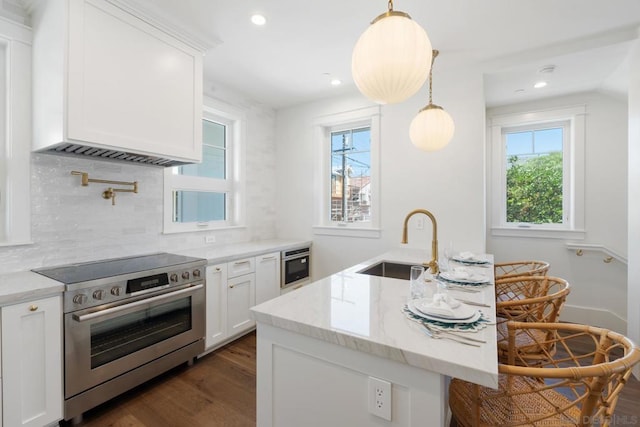 kitchen featuring appliances with stainless steel finishes, dark hardwood / wood-style flooring, light stone counters, sink, and white cabinetry