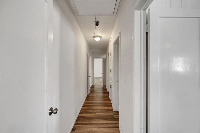 corridor featuring dark wood-type flooring