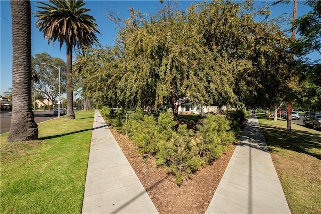 view of community featuring a lawn