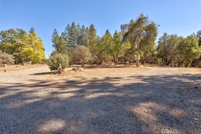 view of yard with a rural view