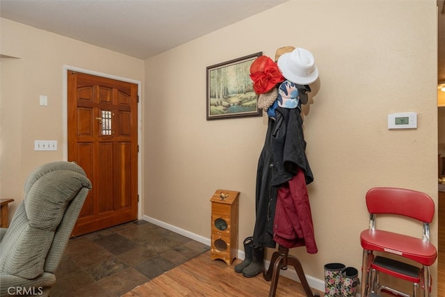 foyer entrance featuring dark wood-type flooring