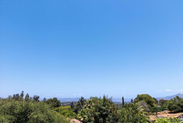 view of local wilderness featuring a mountain view