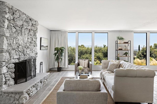 living room with a stone fireplace and light hardwood / wood-style flooring