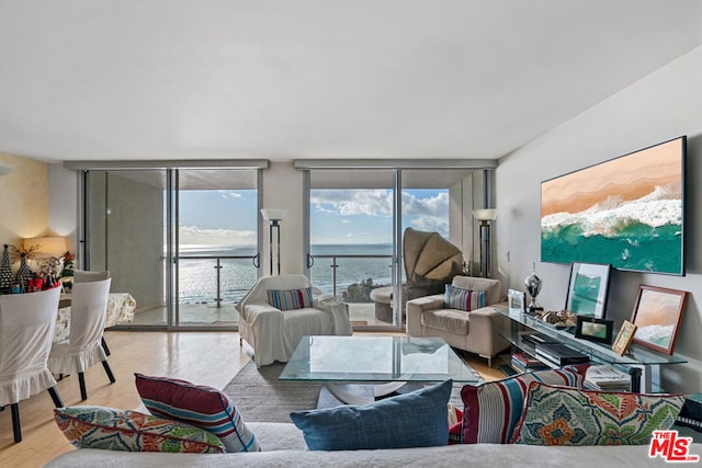 living room with floor to ceiling windows and light hardwood / wood-style floors