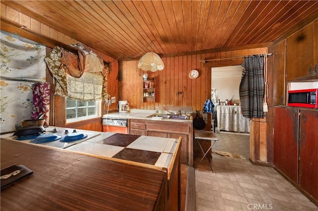 kitchen with sink, wood walls, and wood ceiling