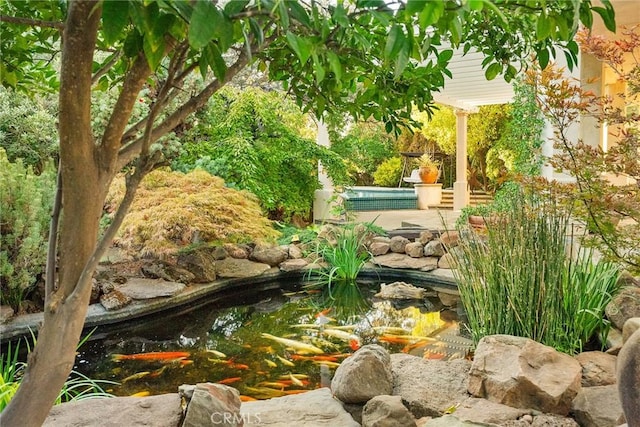 view of yard with a small pond