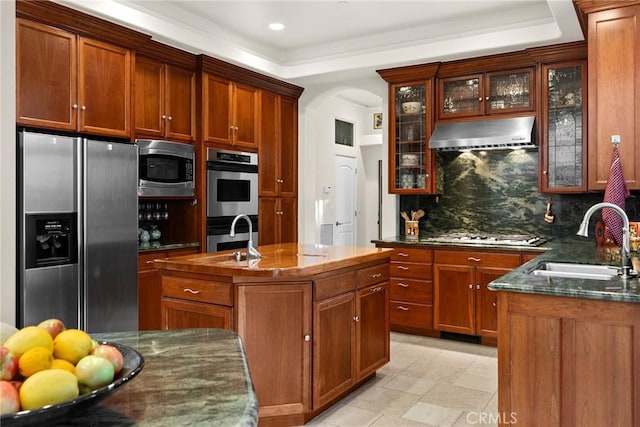 kitchen featuring tasteful backsplash, range hood, sink, appliances with stainless steel finishes, and an island with sink