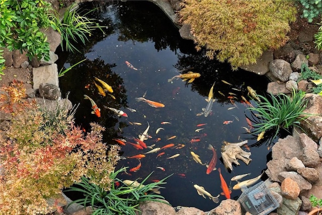 exterior details with a small pond