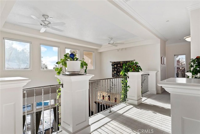 interior space with ceiling fan and crown molding