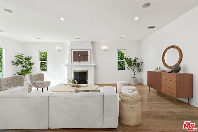 living room with hardwood / wood-style flooring