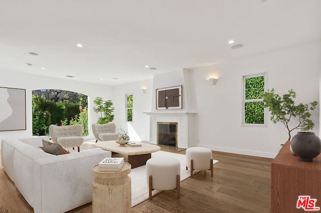 living room featuring dark hardwood / wood-style floors and a wealth of natural light