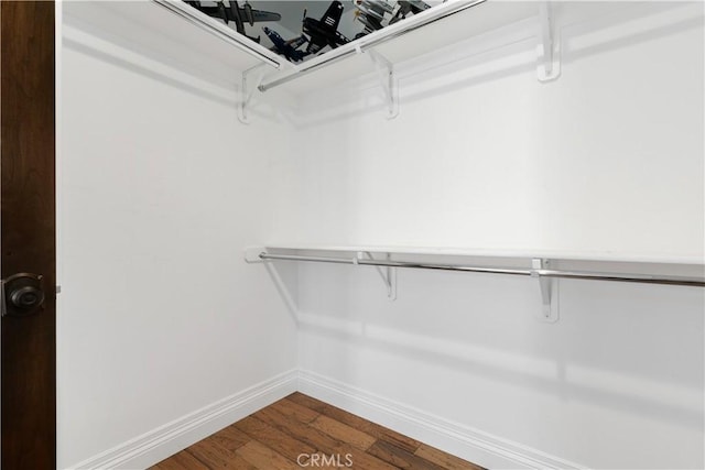 walk in closet featuring wood-type flooring