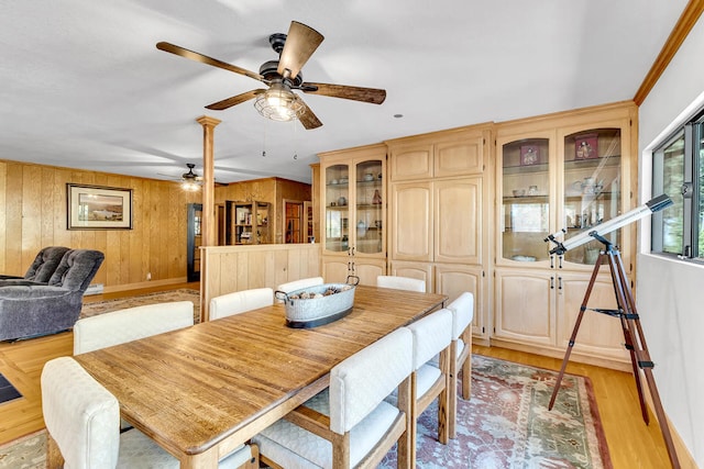 dining area featuring light hardwood / wood-style floors, crown molding, wooden walls, and ceiling fan