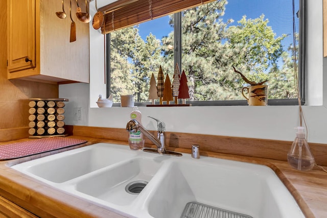 interior details with sink and wooden counters