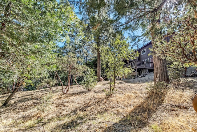 view of yard featuring a wooden deck