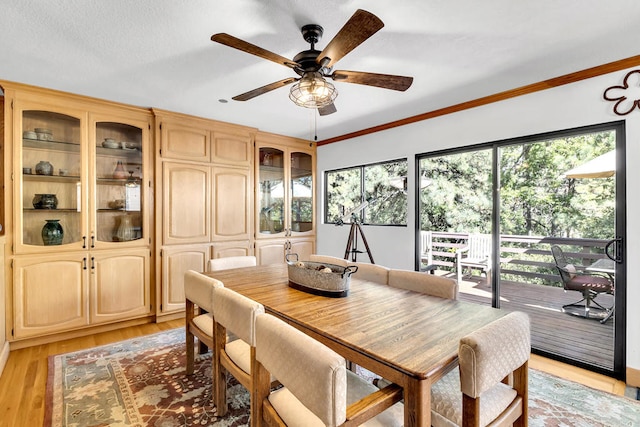 dining room with crown molding, light hardwood / wood-style flooring, and ceiling fan