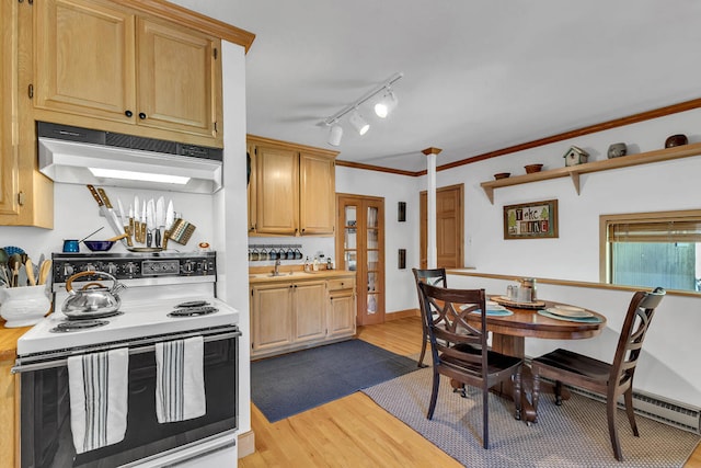 kitchen with wood-type flooring, sink, crown molding, white electric stove, and light brown cabinetry