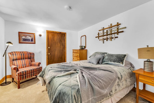 bedroom with carpet flooring