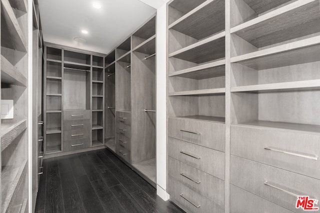 spacious closet featuring dark hardwood / wood-style flooring