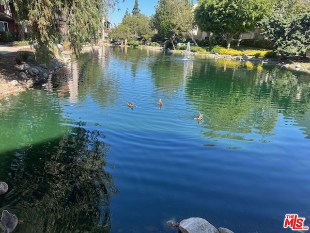 view of water feature