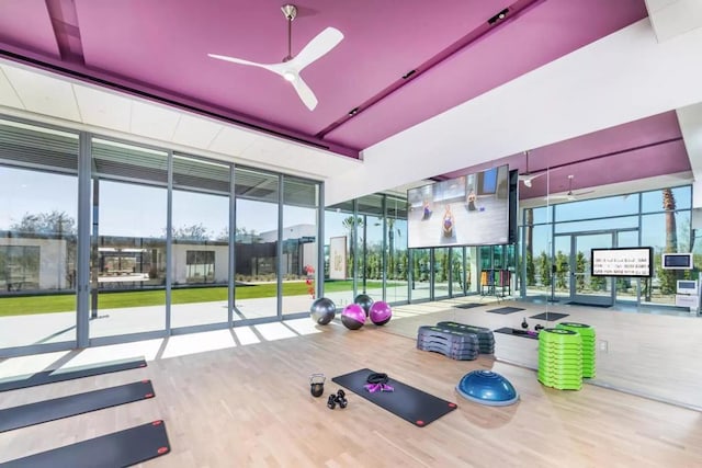 workout area with ceiling fan, expansive windows, and wood-type flooring