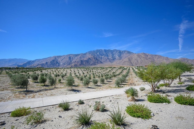 view of mountain feature with a rural view