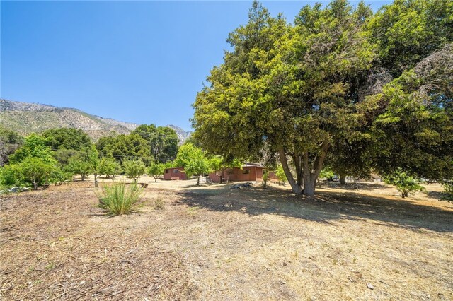 39804 Pine Bench Rd, Oak Glen, CA 92399 - photo 51