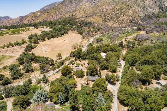 39804 Pine Bench Rd, Oak Glen, CA 92399 - photo 65
