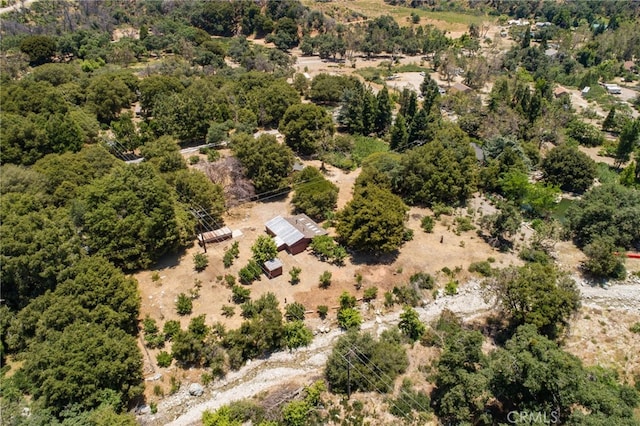 39804 Pine Bench Rd, Oak Glen, CA 92399 - photo 69