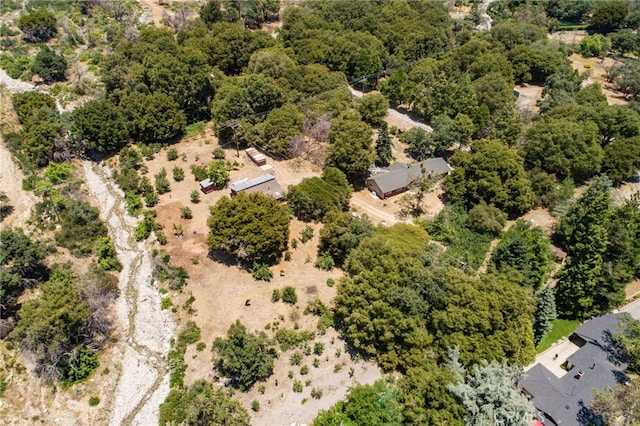 39804 Pine Bench Rd, Oak Glen, CA 92399 - photo 67