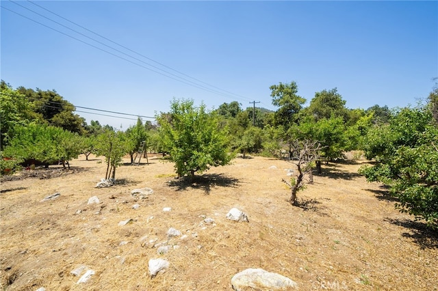 39804 Pine Bench Rd, Oak Glen, CA 92399 - photo 58