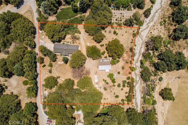39804 Pine Bench Rd, Oak Glen, CA 92399 - photo 59