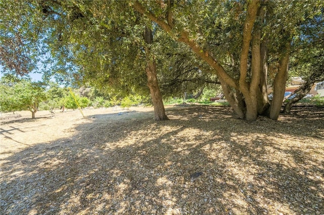 39804 Pine Bench Rd, Oak Glen, CA 92399 - photo 41