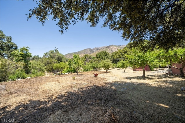 39804 Pine Bench Rd, Oak Glen, CA 92399 - photo 52