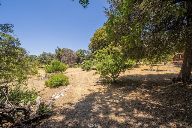 39804 Pine Bench Rd, Oak Glen, CA 92399 - photo 50