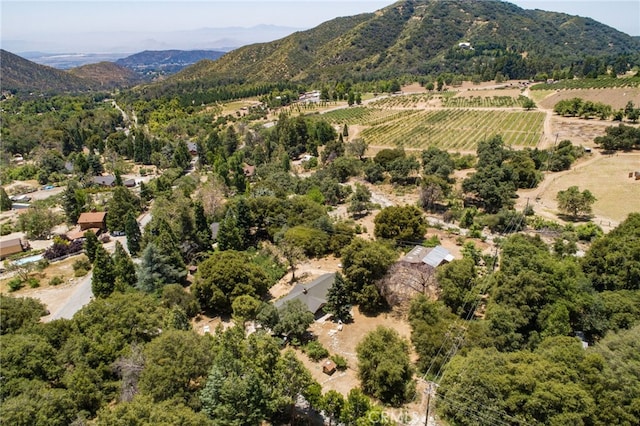 39804 Pine Bench Rd, Oak Glen, CA 92399 - photo 63