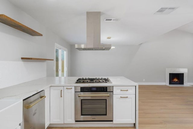 kitchen with ventilation hood, appliances with stainless steel finishes, light hardwood / wood-style flooring, and white cabinetry