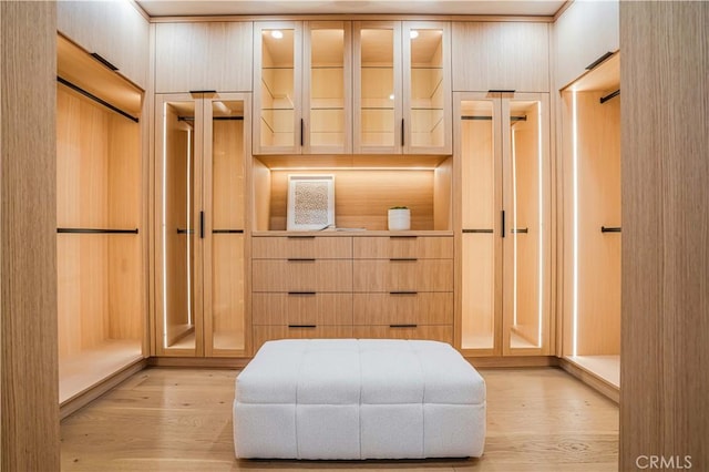 walk in closet featuring light hardwood / wood-style floors