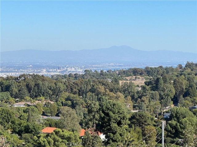 drone / aerial view with a mountain view