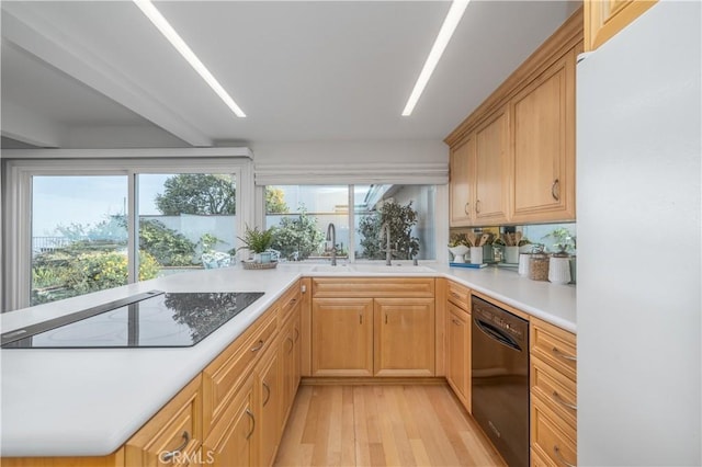 kitchen featuring sink, light hardwood / wood-style flooring, light brown cabinetry, and black appliances