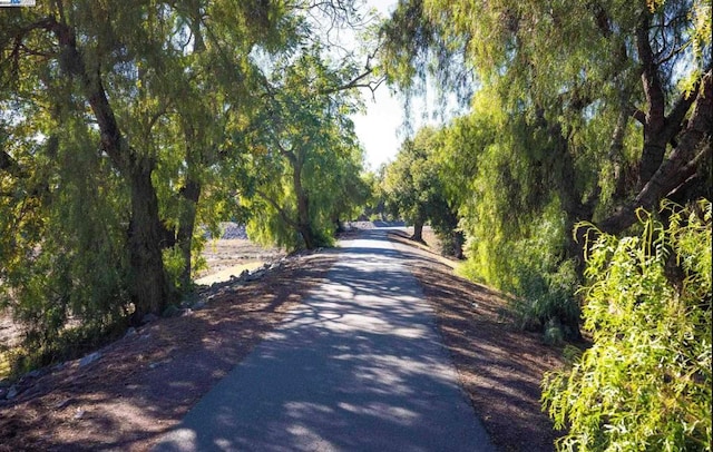 view of road