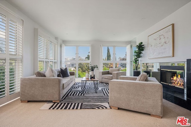 carpeted living room with plenty of natural light